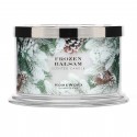 Homeworx by Harry Slatkin Frozen Balsam 4 Wick Candle