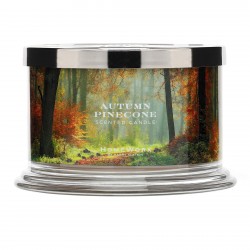 Homeworx by Harry Slatkin Autumn Pinecone 4 Wick Candle