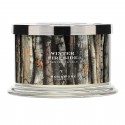 Homeworx by Harry Slatkin Winter Fireside 4 Wick Candle