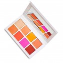 Scott Barnes Chic Cheek N°1 Blush Palette