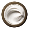 Origins Plantscription Youth-Renewing Power Night Cream