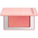 Natasha Denona Mini Bloom Blush