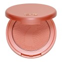 Tarte Amazonian clay 12-hour blush Risque