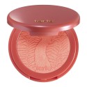 Tarte Amazonian clay 12-hour blush Glisten 