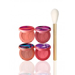 Tarte Sculpted Cheeks Deluxe Amazonian Clay Blush Set & Brush
