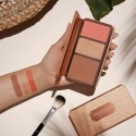 Anastasia Beverly Hills Face Palette Off To Costa Rica