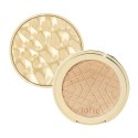 Tarte Shimmering Light Highlighter Champagne Glow