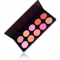 Costal Scents 10 Blush Palette