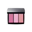 Anastasia Beverly Hills Blush Trios Pink Passion