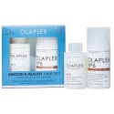 Olaplex Smooth & Healthy Hair Set