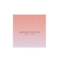 Anastasia Beverly Hills Blush Kit Radient