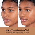 Too Faced Born This Way Ethereal Light Smoothing Concealer Gingersnap