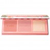 Benefit Cosmetics Cheek Party Package Blusher & Highlighter Cheek Palette