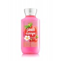 Bath & Body Works Strawberry Picnic Body Lotion