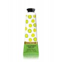 Bath & Body Works Cucumber Melon Hand Cream