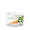 Bath & Body Works White Barn Carrot Nectarine 3 Wick Scented Candle