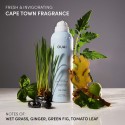 Ouai Super Dry Invisible Dry Shampoo Cape Town