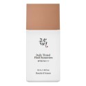 Beauty Of Joseon Daily Tinted Fluid Sunscreen SPF30 PA+++ MY210