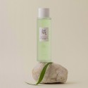 Beauty of Joseon Green Plum Refreshing Toner for Gentle Exfoliating