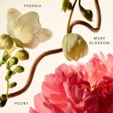 Rare Beauty By Selena Gomez Floral Peony Blossom Rare Fragrance Layering Balm