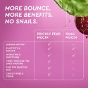 Glow Recipe Prickly Pear Peptide Hydrating Vegan Mucin Serum