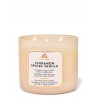 Bath & Body Works White Barn Cinnamon Spiced Vanilla 3 Wick Scented Candle