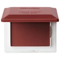 Glossier Cloud Paint Plush Blush Storm
