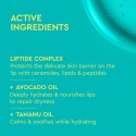 Byoma Galactic Liptide Lip Oil