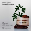Salt & Stone Saffron & Cedar Body Cream