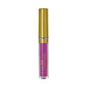 LASplash Cosmetics Lip Couture Hidden Desires