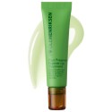 OleHenriksen Pout Preserve Chillers Peptide Lip Treatment Capri Coco-Lime