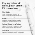 The Ordinary Rice Lipids + Ectoin Microemulsion Moisturizer for Soothing Hydration & Reduced Redness