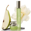 Rare Beauty by Selena Gomez Rare Beginnings Mini Eau de Parfum Travel & Replica Set