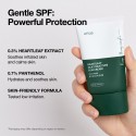 Anua SPF 50 Silky Moisture Sun Cream