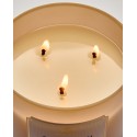 Bath & Body Works White Barn Cinnamon Spiced Vanilla 3 Wick Scented Candle