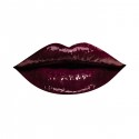 Anastasia Beverly Hills Lip Gloss Black Cherry