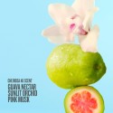 Sol de Janeiro Splash of Sol to Go Fragrance Duo