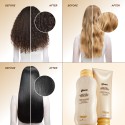 Gisou Shower to Shine Kit