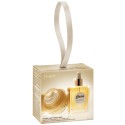 Gisou Instant Hair Therpay Duo