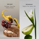 Merit New Wave L'Extrait de Parfum