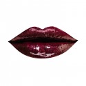 Anastasia Beverly Hills Lip Gloss Venom