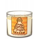 Bath & Body Works Orange Chocolate Truffle 3 Wick Scented Candle