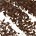 Barbarella Brown
