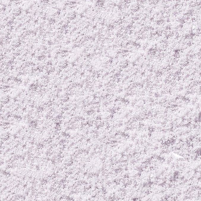 Brightening Lilac